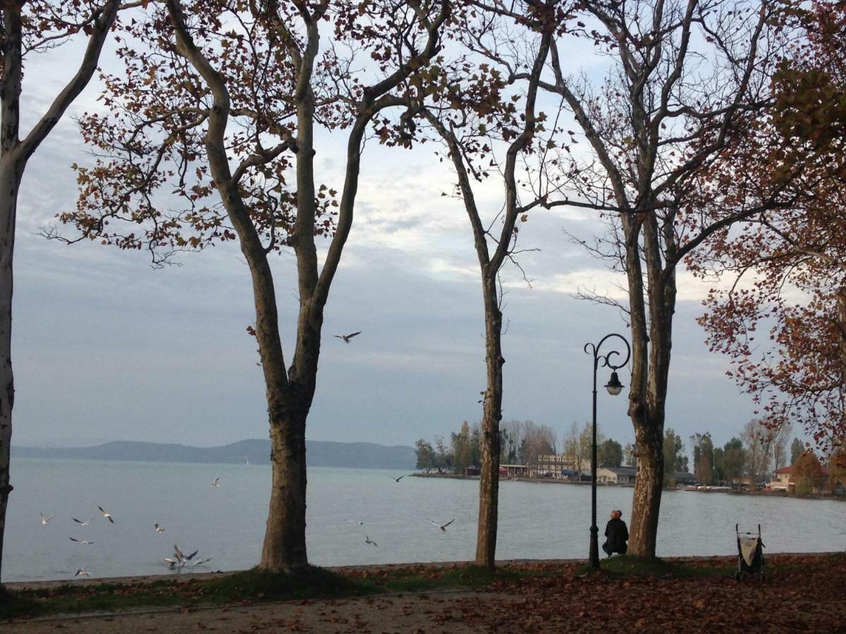Tamas Apartman Balatonfoeldvar Sziveben- Egesz Evben Nyitva! エクステリア 写真