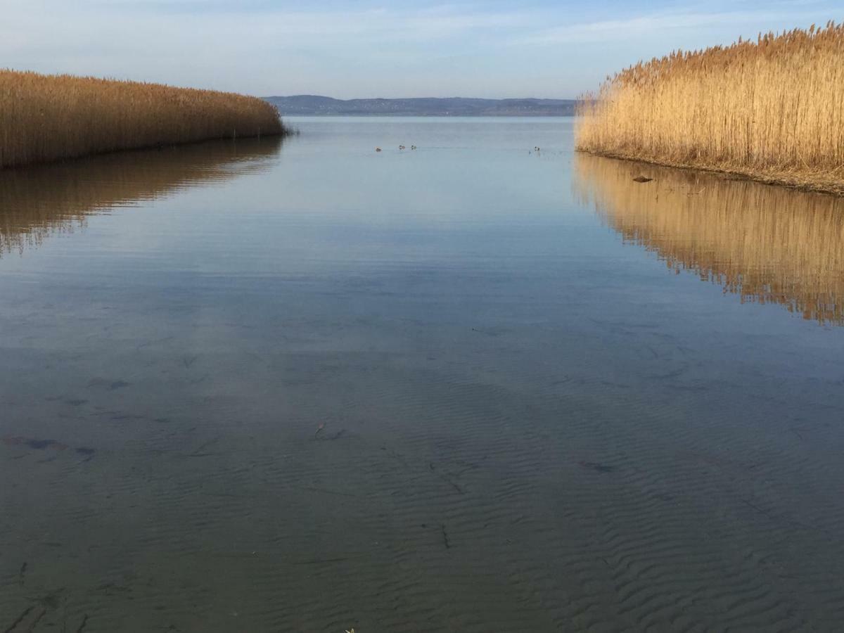 Tamas Apartman Balatonfoeldvar Sziveben- Egesz Evben Nyitva! エクステリア 写真